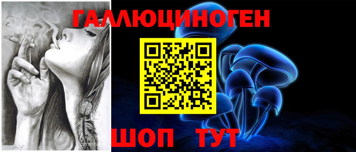 Муром  Псилоцибиновые грибы мухоморы  где найти наркотики  Вход с VPN 